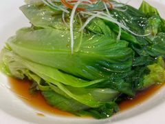 耗油生菜-花舍·新派粤菜·西餐·下午茶(亚运村·鸟巢店)