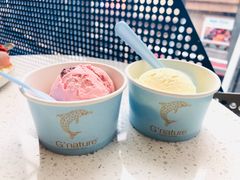 -八喜G’nature冰淇淋旗舰店