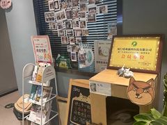 -御宝贝·A梦猫科宠物医院(国际猫友好医院)