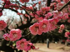 -白塘生态植物园