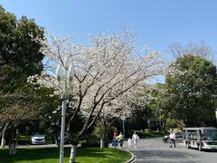 -浙江西子宾馆·牡丹厅