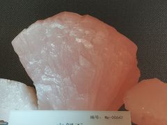 -湖南省地质博物馆
