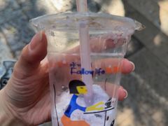 -木瓜老店