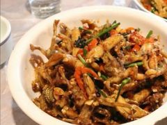 -壹盏灯(惠农店)