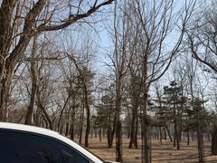 -秦皇岛野生动物园