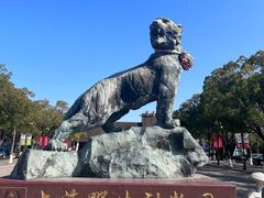 -上海野生动物园