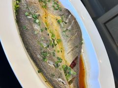 -上海小南国(国会店)