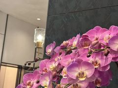 -JOYA湾悦国际酒店(世界之窗店)