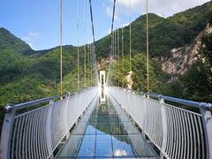 -洛阳白云山景区