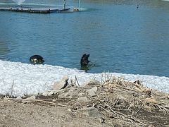 -长春市南湖公园