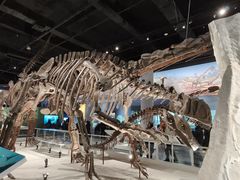 -国家自然博物馆