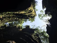 -梭布垭石林景区