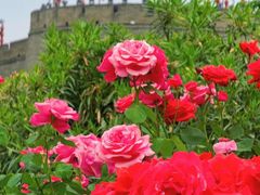 -西安城墙·碑林历史文化景区