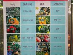 -北京呀路古热带植物园