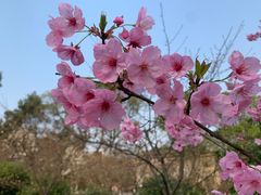 -南山植物园