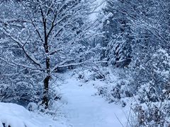 -雪谷