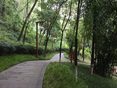 -重庆彩云湖湿地公园