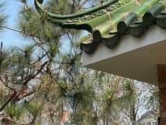 -名树园