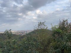 -上海佘山国家森林公园西佘山园