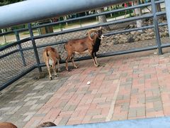 -长白岛森林公园