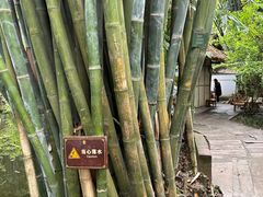 -成都杜甫草堂博物馆