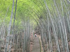 -敬亭山风景名胜区