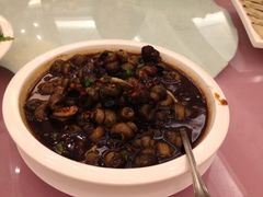 螺丝-新花城蟹粉馆(乌鲁木齐店)