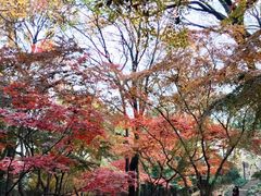 -虞山城墙