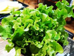 -销魂美蛙鱼头火锅(上海首店)