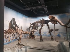 -辽宁古生物博物馆
