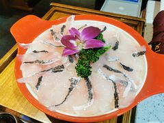 河鳗蝴蝶片-大龙燚·旷野鲜火锅(广州首店)