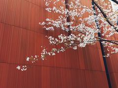 -中山公园