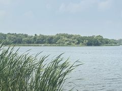 -长春市南湖公园