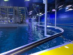 -迪拜水族馆及水下动物园