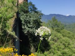 -蟠龙山长城景区