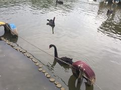 -无锡动物园·太湖欢乐园