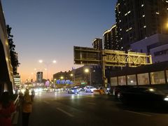 -武汉紫薇都市田园