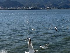 -海埂大坝