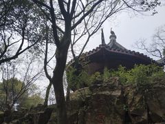 -香雪海
