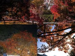 -塔川景区