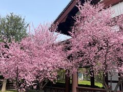 -狼山风景名胜区