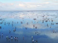 -南汇嘴观海公园