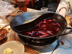 -阳阳老火锅(小南门店)