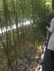 -北京英煌医疗美容