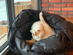-B.O.M波姆烘焙(凤凰街店)