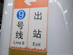 -奥体中心(地铁站)