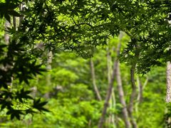 -崂山巨峰游览区