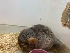 -凯德广场(武胜路店)