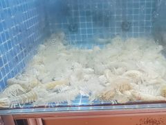 -锦州御烧烤·形象店(人民街店)