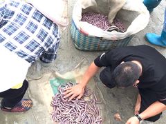 -北海金海湾红树林生态旅游区